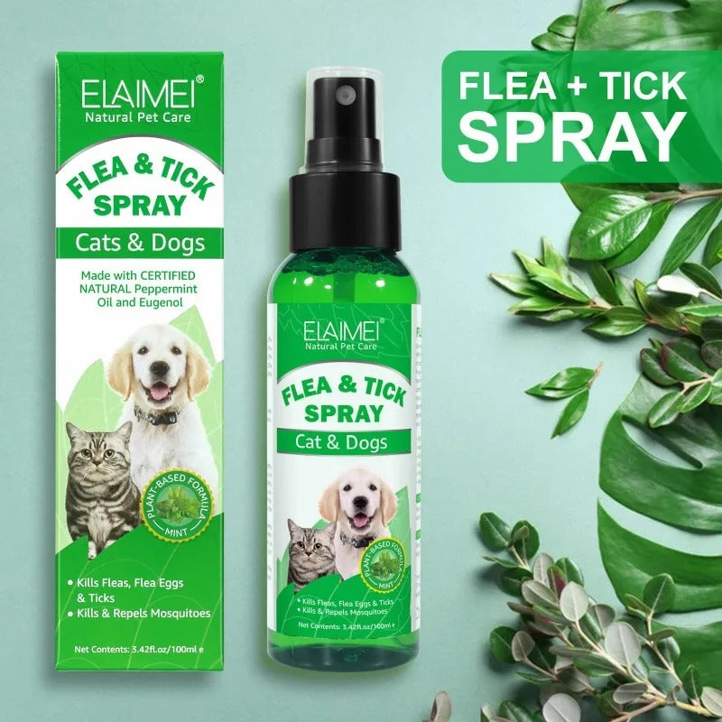 Dog flea spray for home best sale