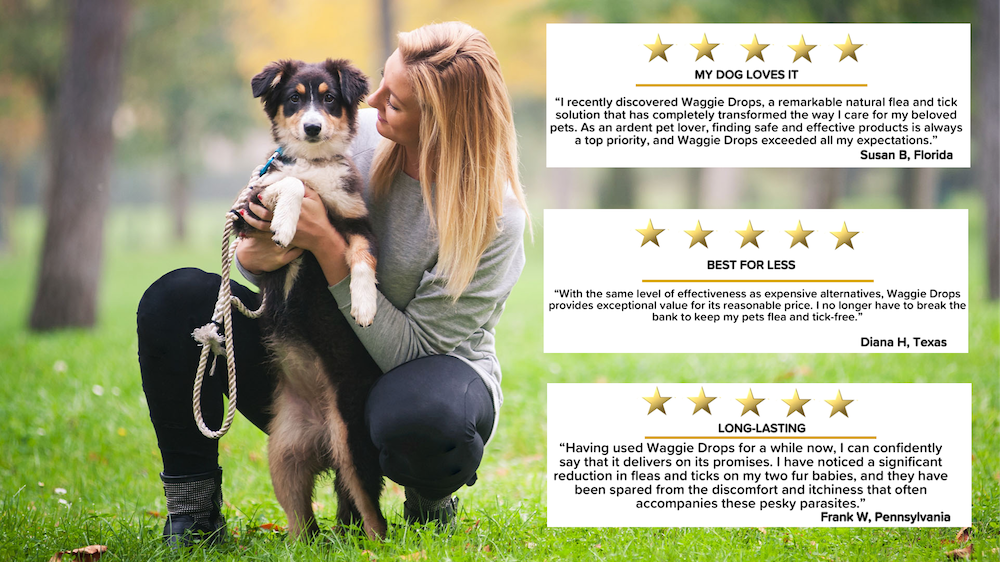 Waggie Drops Natural Anti Flea Tick Mosquito Spot Ons SAFEST 5 Months Topical Protection