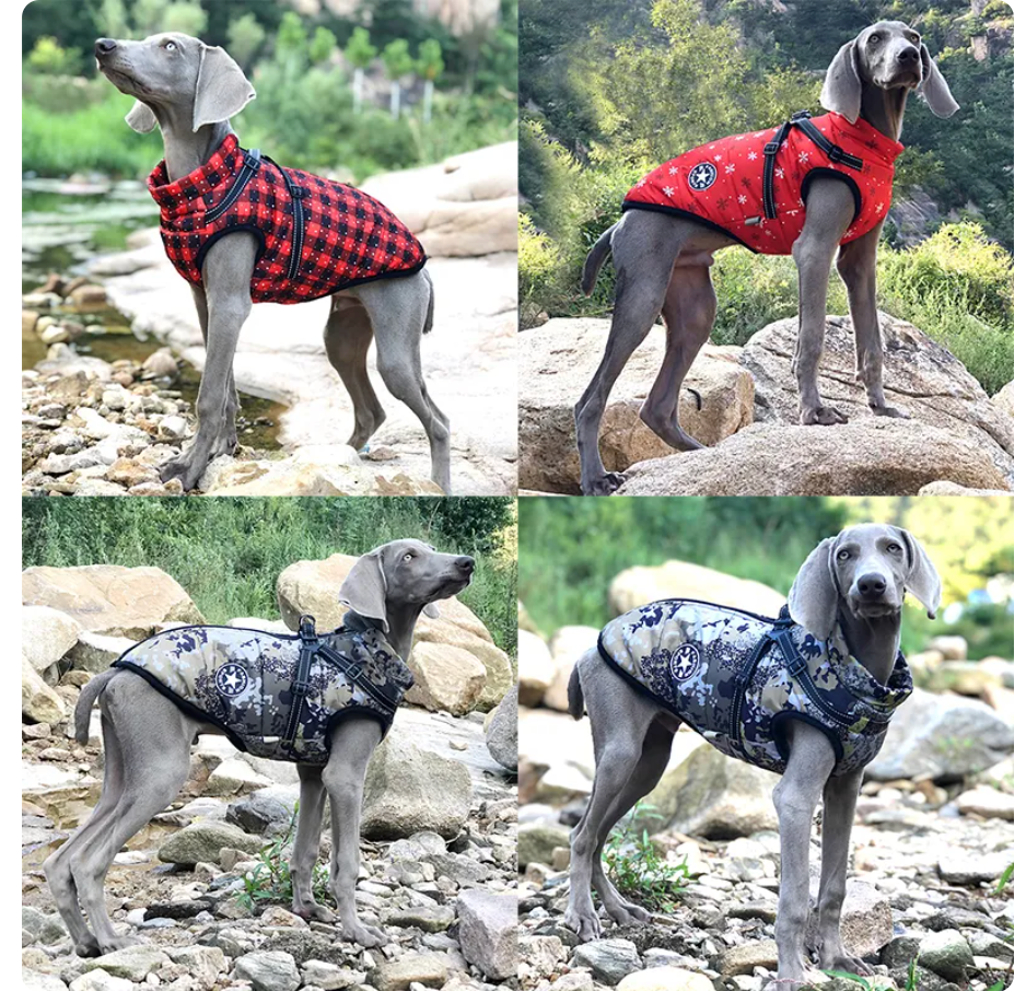 WagJacket™ - Dog Jacket With Harness (Comfy)