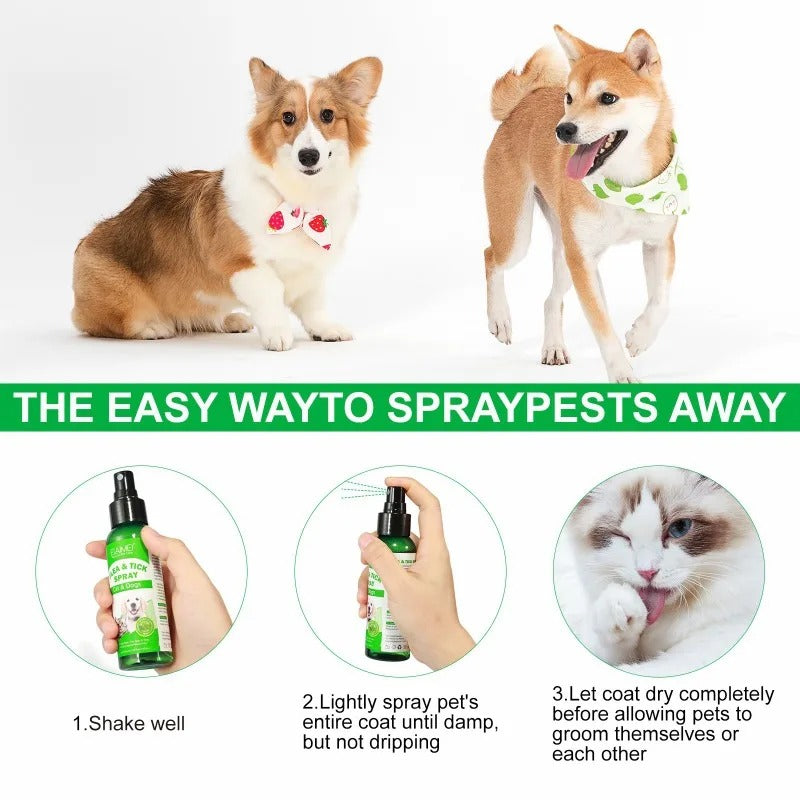 WagAway Long Lasting Natural Flea Tick Bed Bug Spray for Pets People Home 600 Sprays