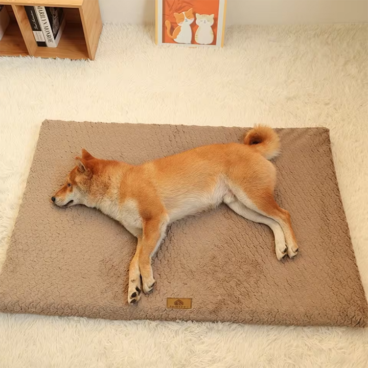 Khaki WagCloud mat viewed from above with a dog stretched out on the flat surface