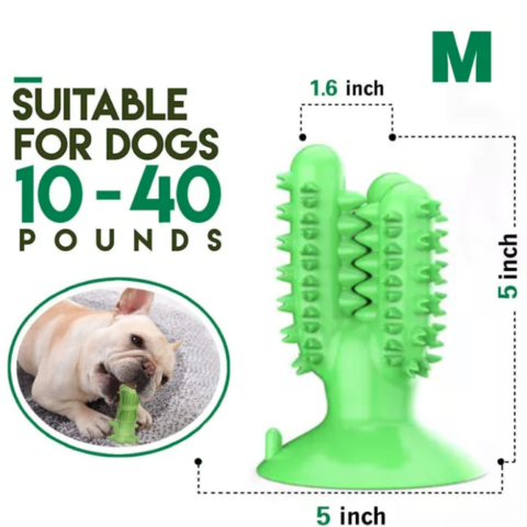WagChew™ - Dog Toothbrush Cactus Toy