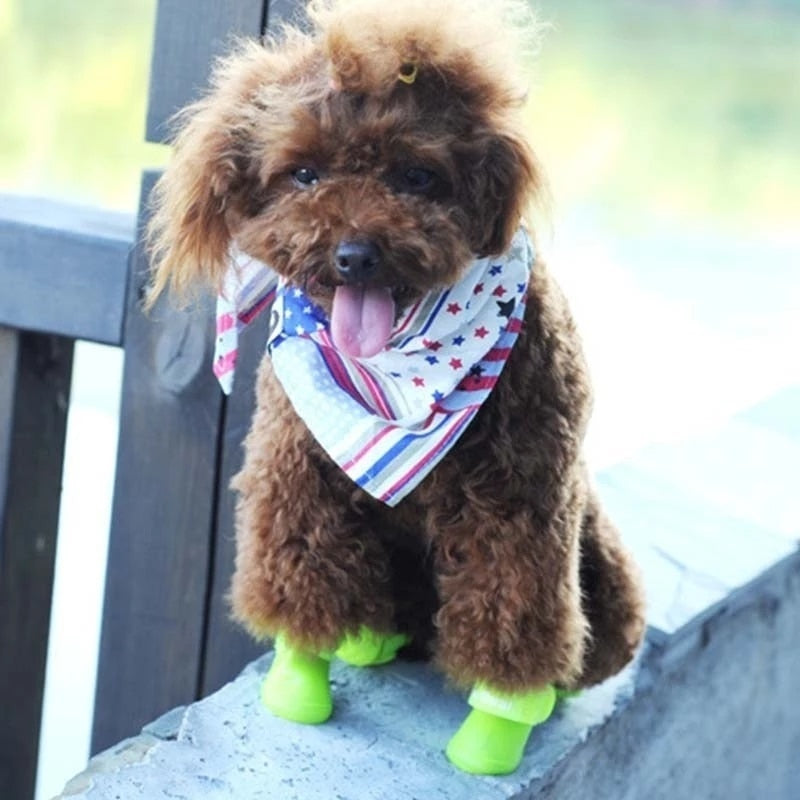 Small dog wearing green rain boots outdoors