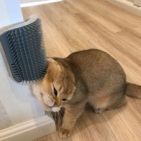 Kitty hot sale corner scratcher