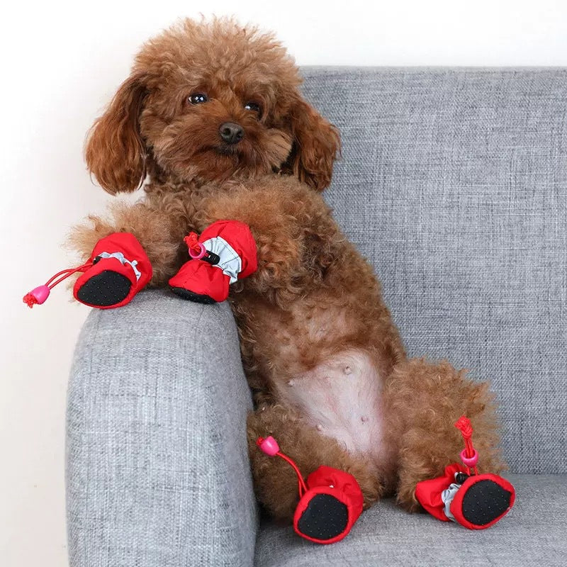 Small dog wearing red adjustable drawstring boots