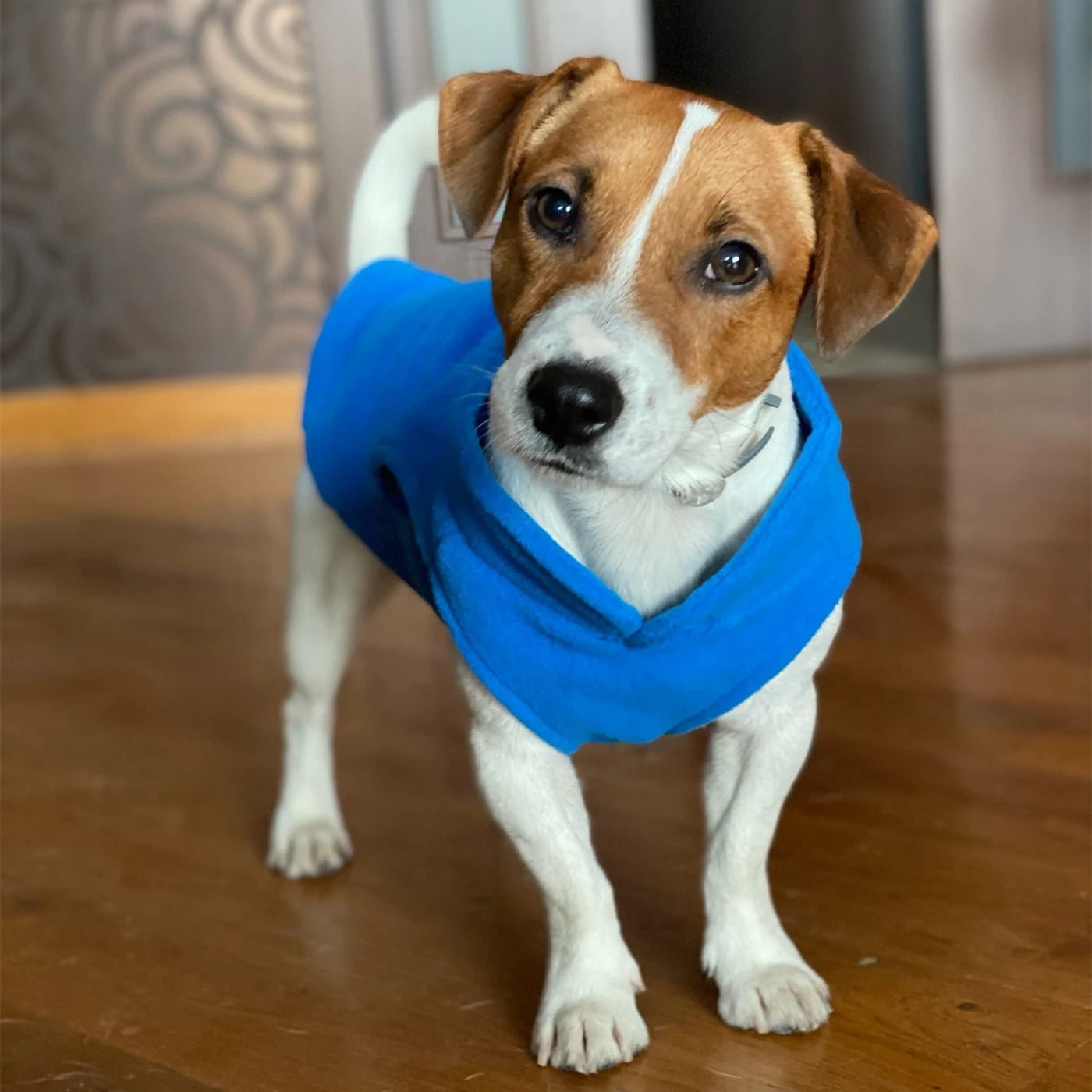 WagFleece™ - Cozy Dog/Cat Fleece Harness (Stretchy)