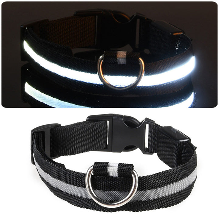 GloWag™ - LED Dog Collar